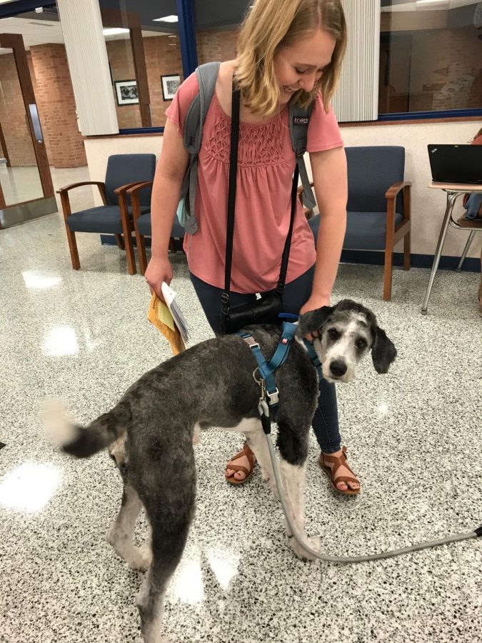Seen here with 2018 graduate Makayla Hansen, Bauer the served as a therapy dog at the high school. File Photo 