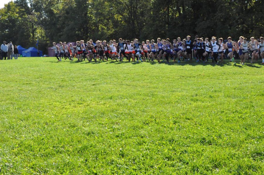 The starters pistol sets off the Northrop Sectional Boys Cross Country Championship. The boys took fourth place and advanced to regionals in West Noble. 