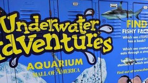 Advertisement for an aquarium on school lockers. Courtesy of Creative Commons. 