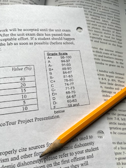 The Carroll High School grading scale.