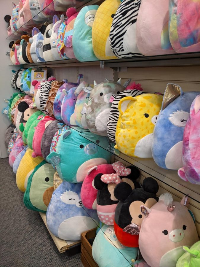 Squishmallows storm the market