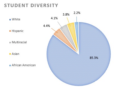A graph showing the diversity of races in the student body