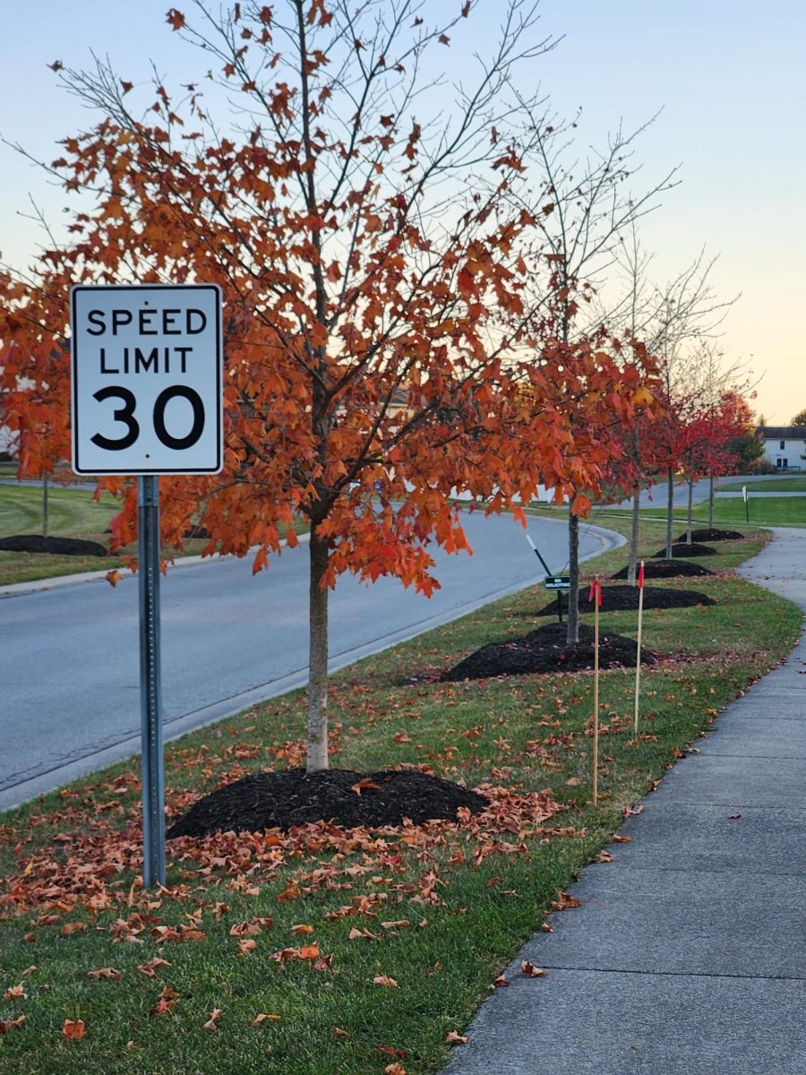 Entrance to Lakes of Brooke Crossing, the other main detour drivers use to go around Carroll Road. Posts along sidewalk mark lines to prevent accidents cutting of resources to the neighborhood.