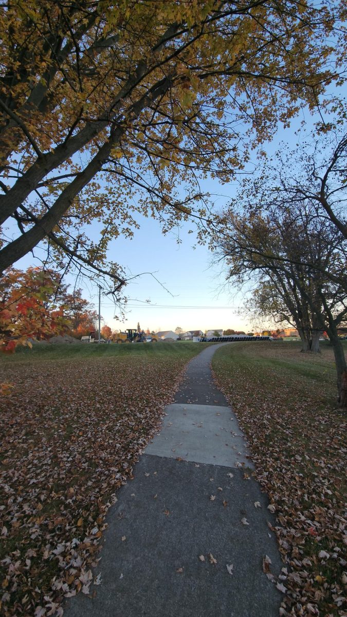 Panoramic picture of fallen leaves on path and autumn tree with construction behind.