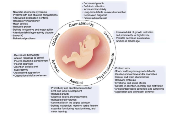 The Unseen Crisis: Impact of Substance Abuse on Infants