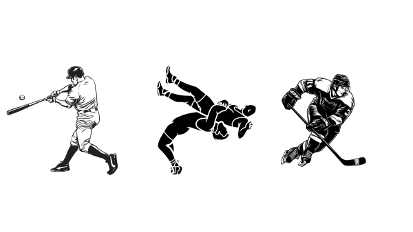 The Unmatched Challenges of Baseball, Wrestling, and Hockey